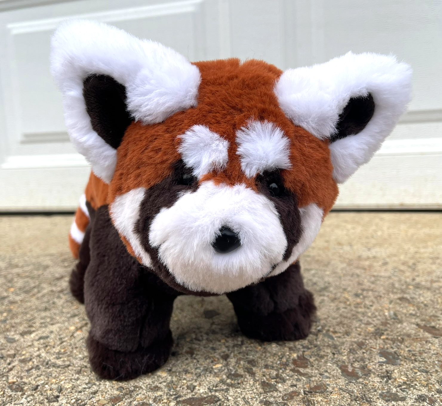 A photo of a red panda plush looking at the camera. It has a very round head.